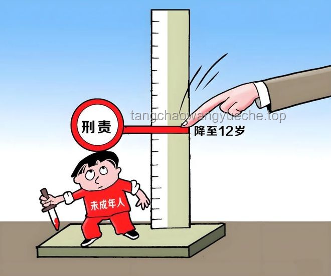 12周岁未成年人故意杀人，检方如何有效追诉？